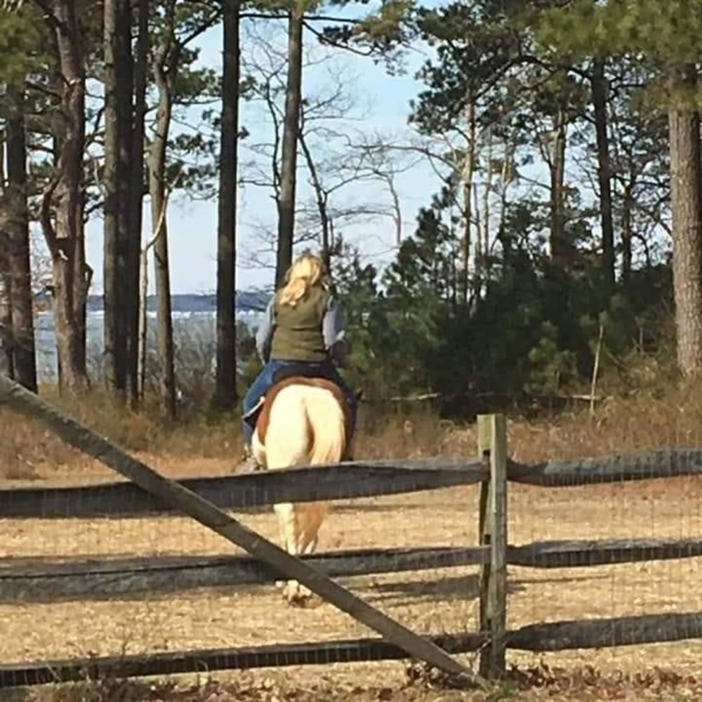 Meet your Posher, Bev